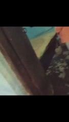 Red light area of India