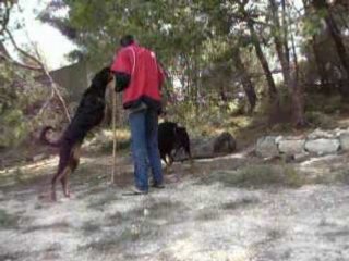caly alter et titi s'eclatent