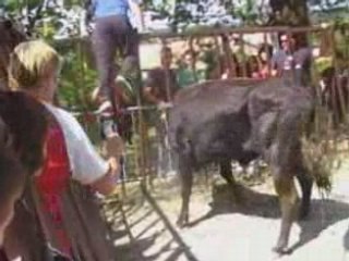 Fou 2 toro >Langlade