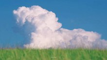 natural view video