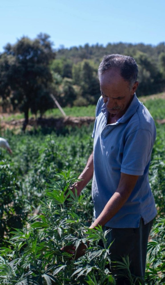 Cannabis medicinal: la esperanza para quienes sufren de dolor lumbar crónico.