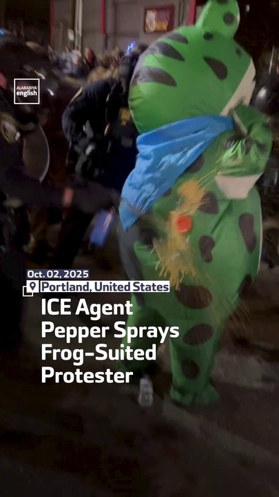 ICE Agent Pepper Sprays Frog-Suited Protester