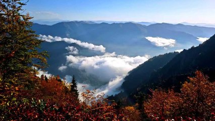 Rize, Trabzon ve Giresun'dan muhteşem sonbahar manzaraları