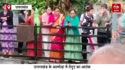 अल्मोड़ा: घर में घुसा तेंदुआ, रात भर बाथरूम में रहा बंद, वन विभाग ने किया रेस्क्यू