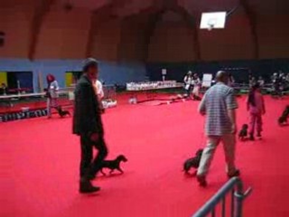 RCAC- NE-ERQUY2008