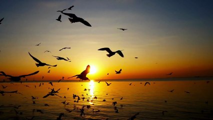 تلاوة خاشعة لعلاج ضيق الصدر والهم ارح مسمعك واسمعها