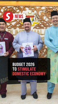 Budget 2026 involves govt, GLICs, GLCs and PPP working together, says Amir Hamzah
