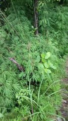 Hidden Night Wonders of Europe | Noctourism Across 7 Countries | SAMUNDRA TRAVELS