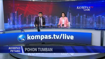 Angin Kencang, Pohon Palem dan Beringin Tumbang Timpa Mobil Pengantar Paket | KOMPAS PETANG