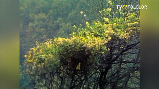 Traian Jurchela - De ce, june, nu te-nsori (Toamna, frunza-ngalbeneste... - arhiva TVR)