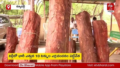 రూ.11 కోట్ల ఎర్రచందనం పట్టివేత - ఇద్దరు స్మగ్లర్లు అరెస్టు