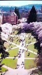 SHHH, PROFESSOR PLEASE DON'T TELL.