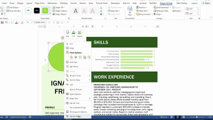how to insert image in resume in ms word