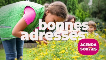 Agenda des Sorties du 10 au 12 octobre 2025