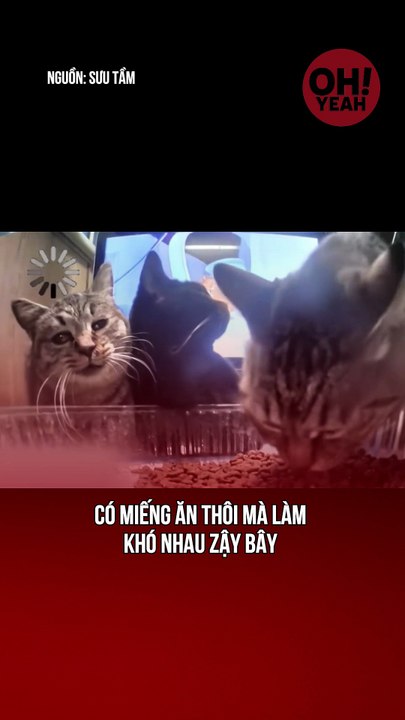Ăn hoi mà bị hù quài á