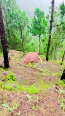 1st nock of the cold, Explore nature