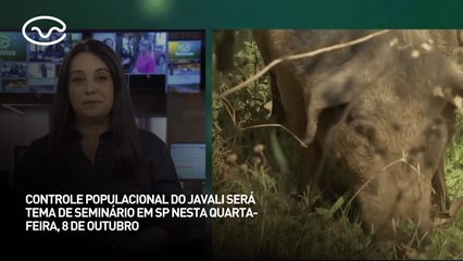 Controle populacional do javali será tema de seminário em SP nesta quarta-feira, 8 de outubro