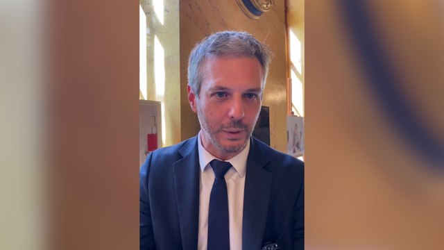 « Nous avons besoin d'une présidentielle anticipée », lance le député Loïc Kervran (Horizons)