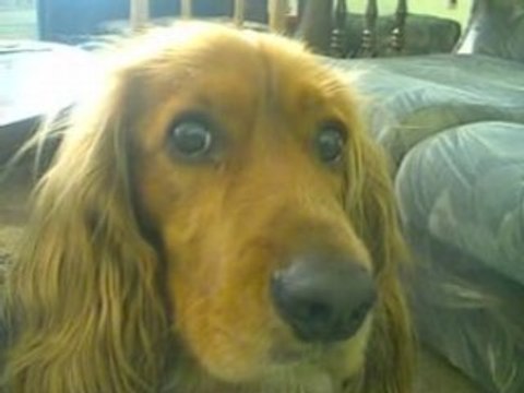 Видеоклип laki