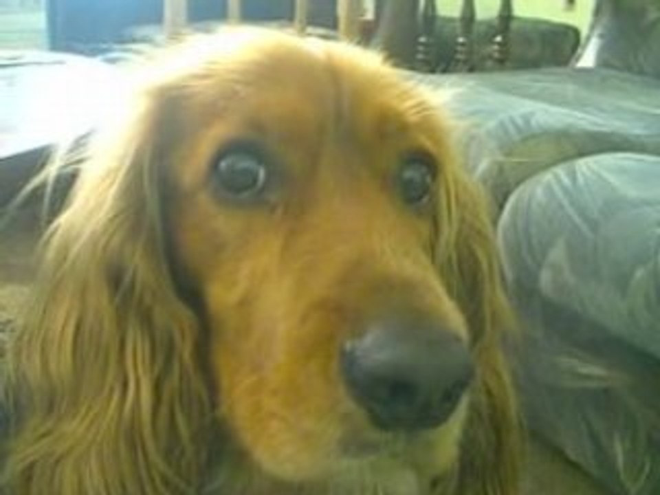 Видеоклип laki