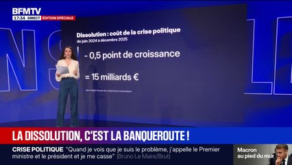 LES ÉCLAIREURS - Combien la dissolution de juin 2024 a-t-elle coûté à l'économie française ?