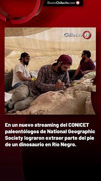 En un nuevo streaming del CONICET paleontólogos de National Geographic Society lograron extraer parte del pie de un dinosaurio en Río Negro.