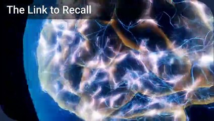 Hydration & Brain Recall