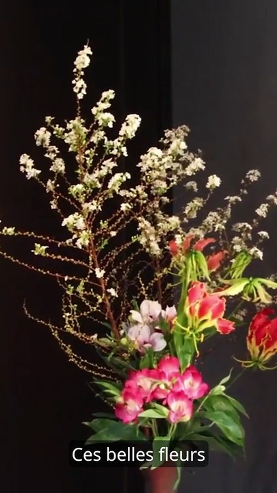 Rael : la création est partout, il suffit de regarder car les Elohim ont tout créer