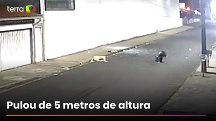 Vídeo mostra homem pulando de janela e fraturando o pé após furtar supermercado em Uberaba (MG)