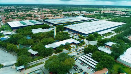 Do Olympikus à Melissa: o lado bom e ruim do mercado de calçados; confira