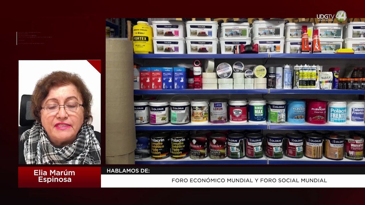 Foro Económico Mundial y Foro Social Mundial | Elia Marúm Espinos