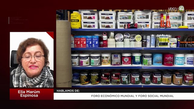 Foro Económico Mundial y Foro Social Mundial | Elia Marúm Espinos