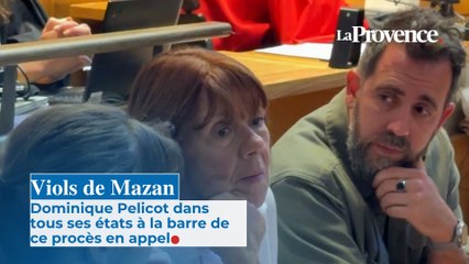 Viols de Mazan : Dominique Pelicot dans tous ses états à la barre de ce procès en appel