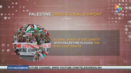Expressions of solidarity with Palestine have taken place across all five continents