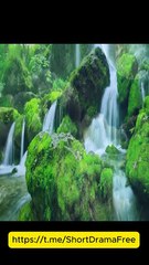 My Driver Is Actually The Ceo Engsub Litetv