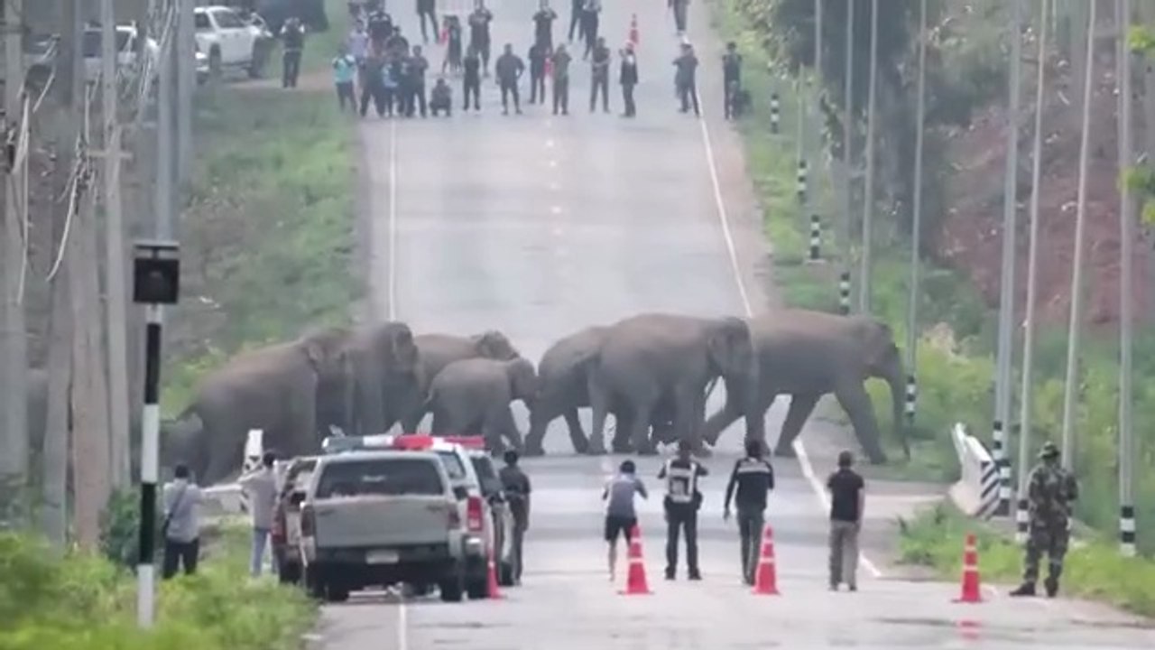 Most Dangerous Roads in the World