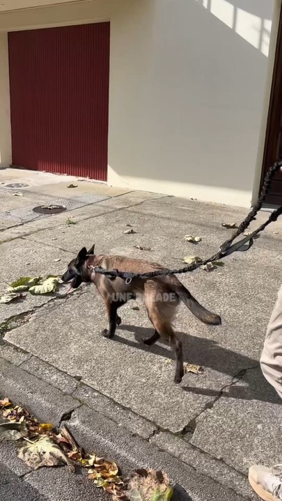 C’était une balade sous une tempête, avec quelques réglages pour Sept, qui a hâte de retrouver la Toun 🐻‍❄️♥️