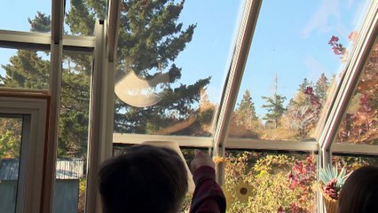 Topo Tour Bell St-Denis