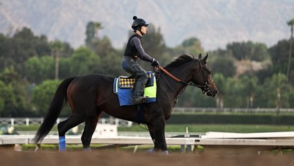 Bob Baffert Exercise Rider Morgane Kervarrec on the Road to the Breeders' Cup