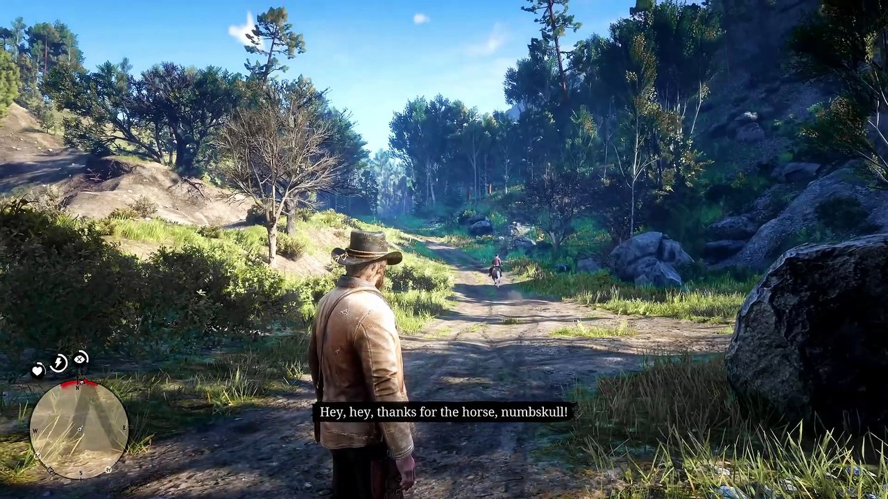 12. Player Ignore These NPCs And Miss Further Encounters in RDR2