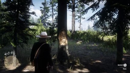 20. Only 5% Players Discover These Hidden Secrets in RDR2