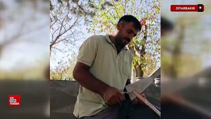 Diyarbakır'da mezarlıklardan çıkan büyüler hayrete düşürdü