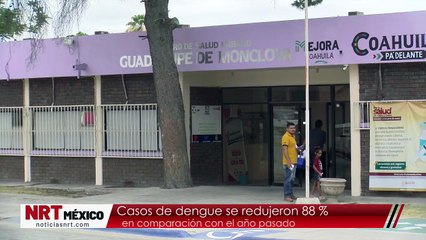 Casos de dengue se redujeron 88 % en comparación con el año pasado