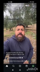 michelemonopoli risponde sulle malattie degli ulivi