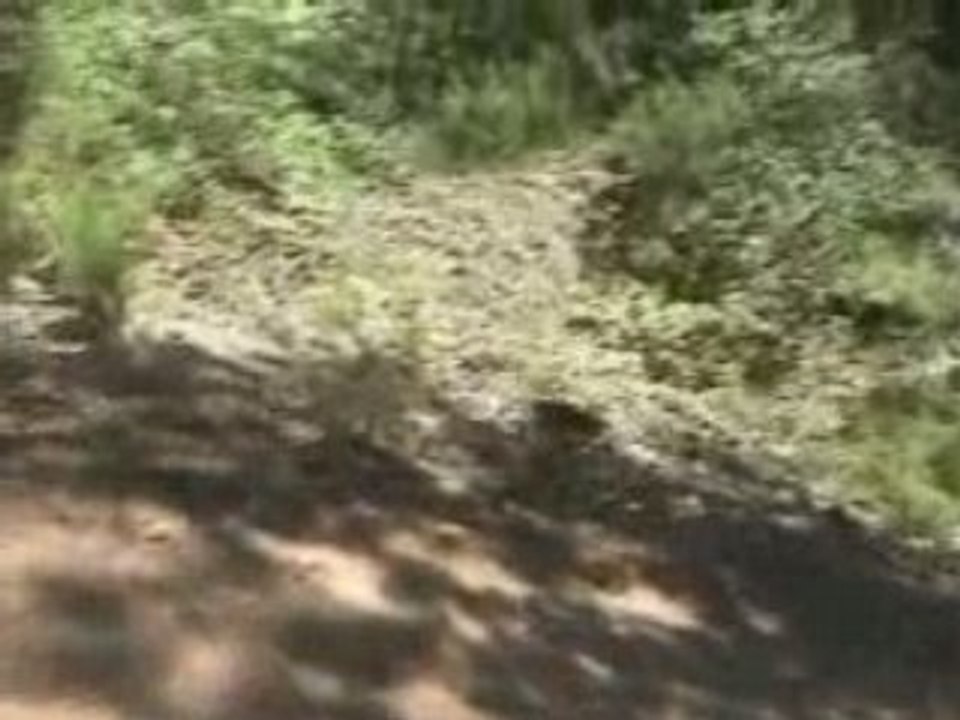 20080519154936