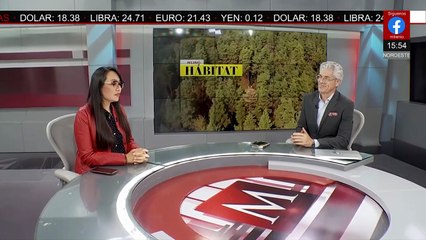 Restauran la Barranca Tarango en la Ciudad de México | Milenio Hábitat