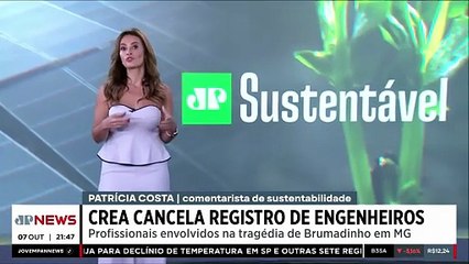 Crea cancela registros de engenheiros relacionados à tragédia de Brumadinho | JP SUSTENTÁVEL