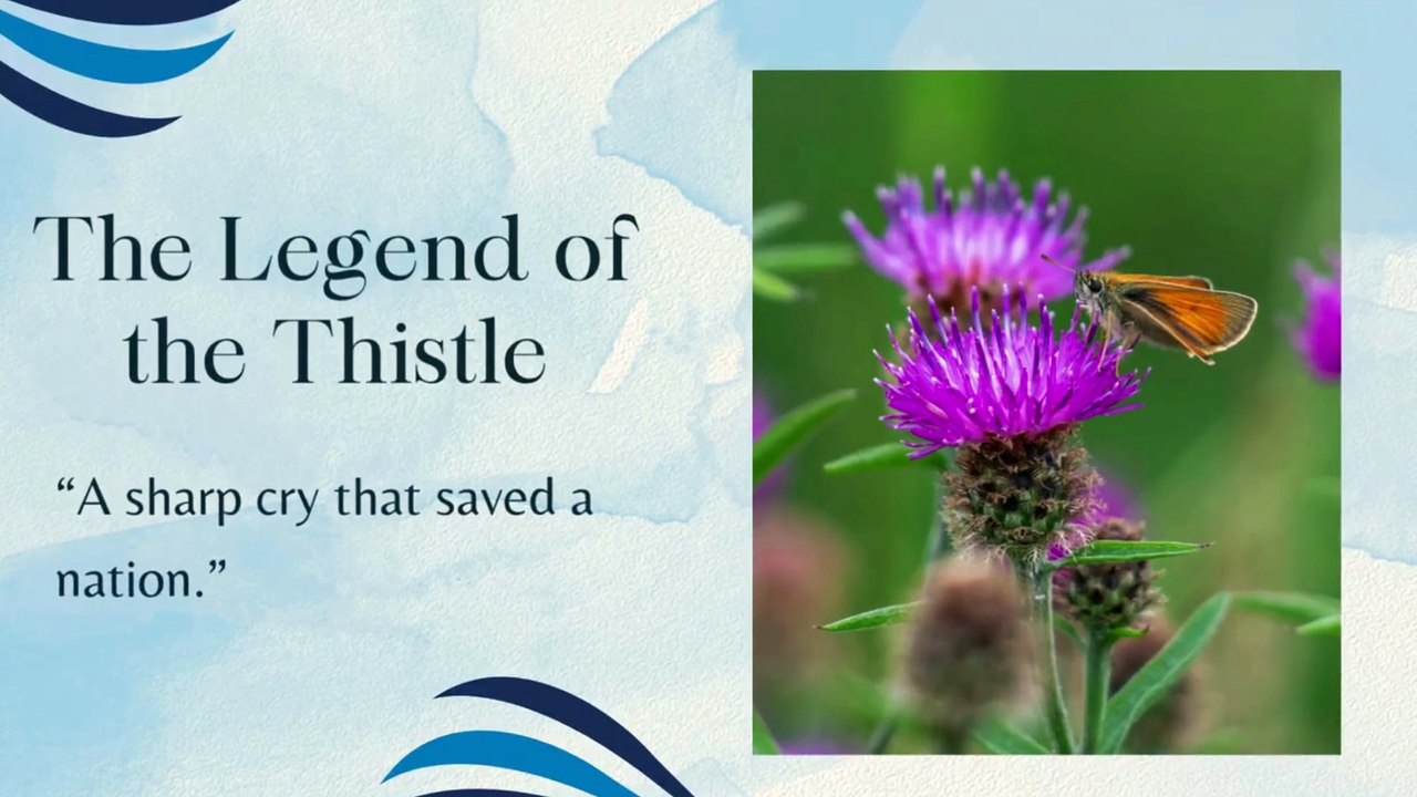 the thistle and the unicorn