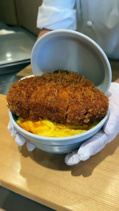 Biggest Katsudon