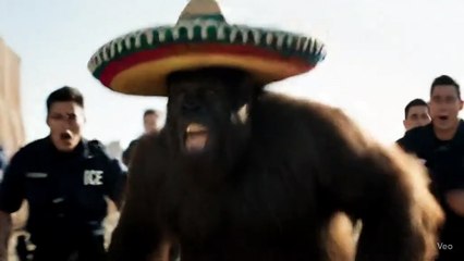 I didnt know wanting tacos is a crime #viralvideo #fypdongggggggg #fypage #viraltiktok #fyppppppppppppppppppppppp #fypシ #bigfoot #fyp